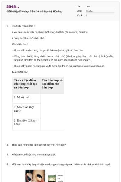 Giải bài tập Khoa học 5 Bài 36 (có đáp án): Hỗn hợp