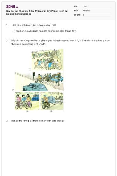 Giải bài tập Khoa học 5 Bài 19 (có đáp án): Phòng tránh tai nạ giao thông đường bộ
