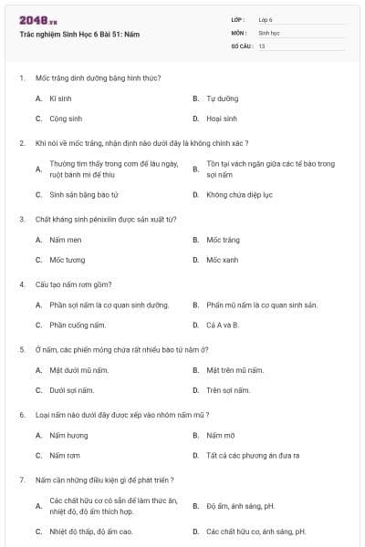 Trắc nghiệm Sinh Học 6 Bài 51: Nấm