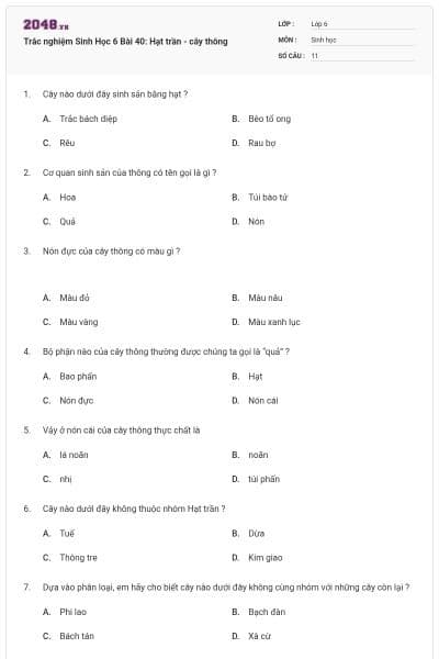 Trắc nghiệm Sinh Học 6 Bài 40: Hạt trần - cây thông