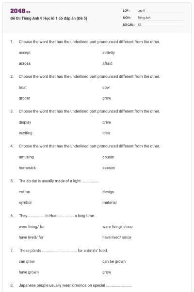 Đề thi Tiếng Anh 9 Học kì 1 có đáp án (Đề 5)