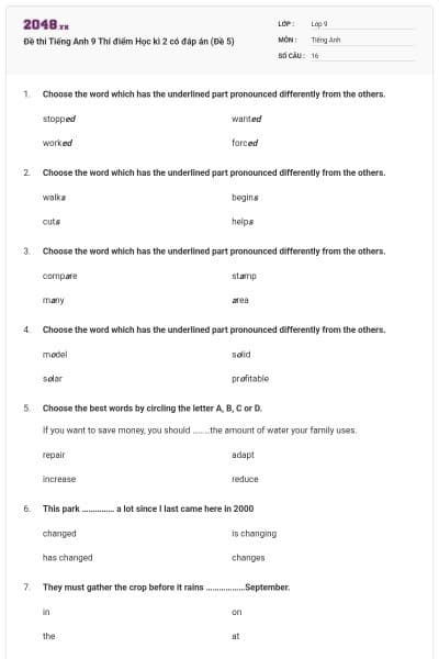 Đề thi Tiếng Anh 9 Thí điểm Học kì 2 có đáp án (Đề 5)