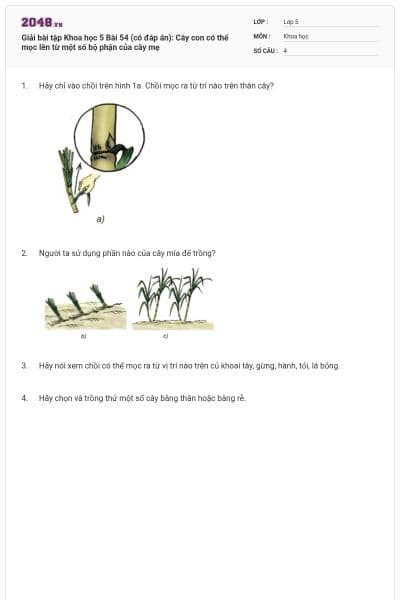Giải bài tập Khoa học 5 Bài 54 (có đáp án): Cây con có thể mọc lên từ một số bộ phận của cây mẹ
