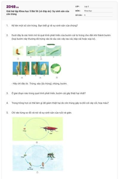 Giải bài tập Khoa học 5 Bài 56 (có đáp án): Sự sinh sản của côn trùng