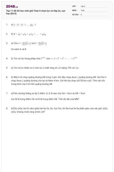 Top 11 Đề thi học sinh giỏi Toán 6 chọn lọc có đáp án, cực hay (Đề 8)