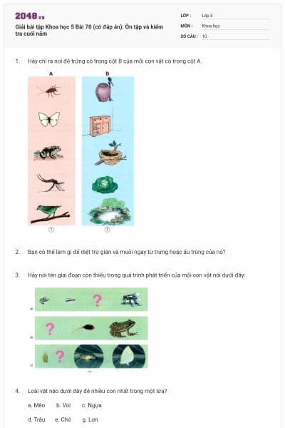 Giải bài tập Khoa học 5 Bài 70 (có đáp án): Ôn tập và kiểm tra cuối năm