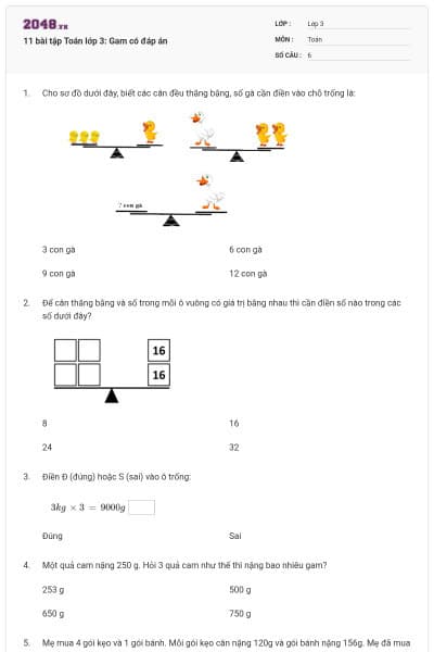 11 bài tập Toán lớp 3: Gam có đáp án