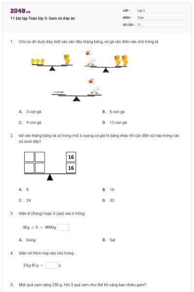 11 bài tập Toán lớp 3: Gam có đáp án