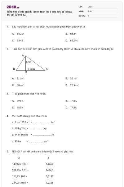 Tổng hợp đề thi cuối kì I môn Toán lớp 5 cực hay, có lời giải chi tiết (Đề số 12)