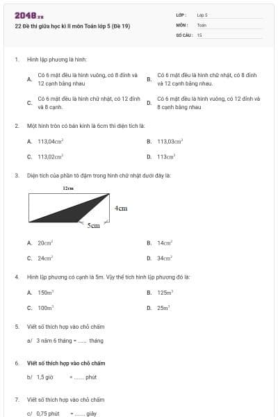 22 Đề thi giữa học kì II môn Toán lớp 5 (Đề 19)