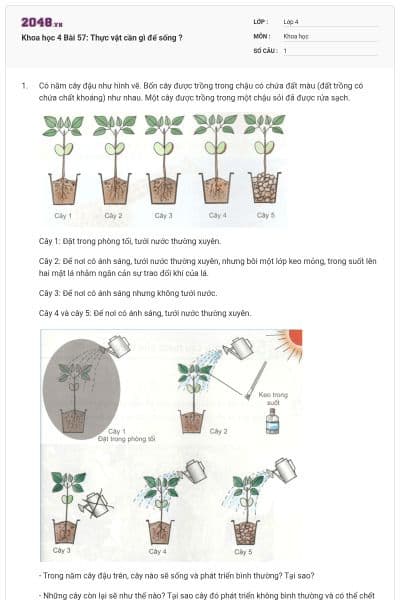 Khoa học 4 Bài 57: Thực vật cần gì để sống ?