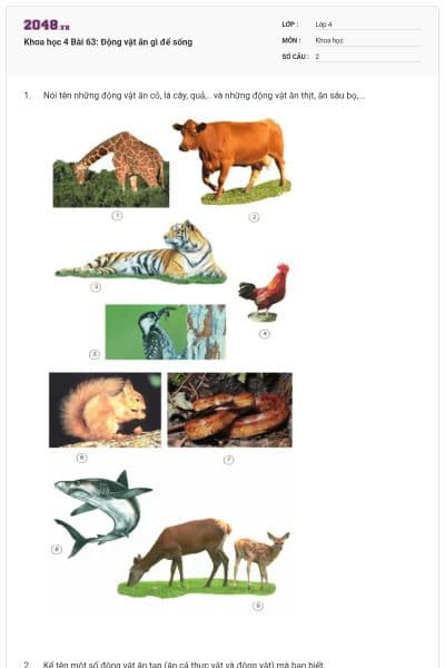 Khoa học 4 Bài 63: Động vật ăn gì để sống