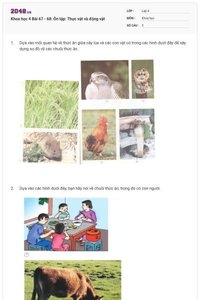 Khoa học 4 Bài 67 - 68: Ôn tập: Thực vật và động vật