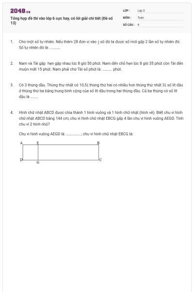 Tổng hợp đề thi vào lớp 6 cực hay, có lời giải chi tiết (Đề số 13)
