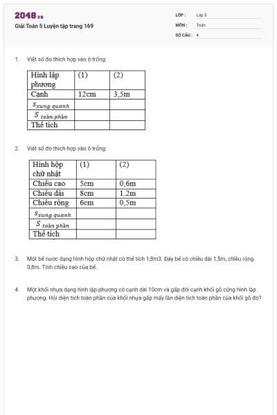 Giải Toán 5 Luyện tập trang 169