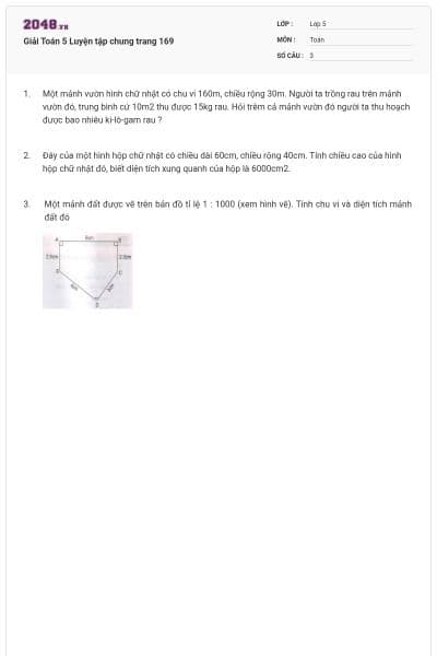 Giải Toán 5 Luyện tập chung trang 169