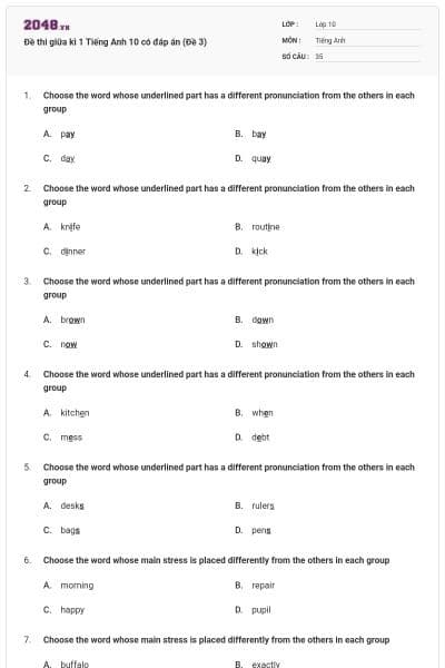 Đề thi giữa kì 1 Tiếng Anh 10 có đáp án (Đề 3)