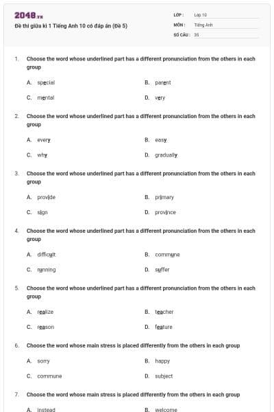 Đề thi giữa kì 1 Tiếng Anh 10 có đáp án (Đề 5)