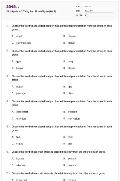 Đề thi giữa kì 2 Tiếng Anh 10 có đáp án (Đề 3)