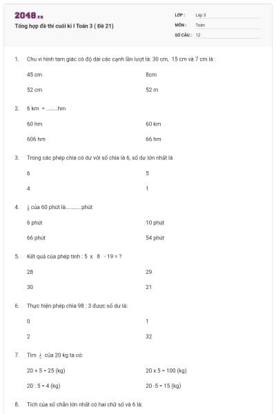 Tổng hợp đề thi cuối kì I Toán 3 ( Đề 21)