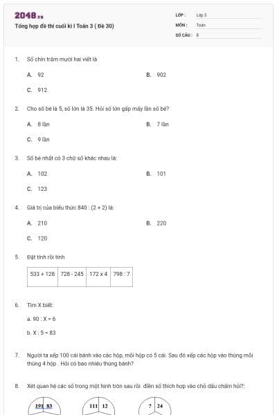 Tổng hợp đề thi cuối kì I Toán 3 ( Đề 30)