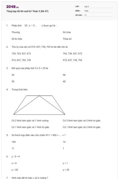 Tổng hợp đề thi cuối kì I Toán 3 (Đề 47)