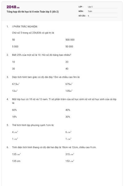 Tổng hợp đề thi học kì II môn Toán lớp 5 (đề 2)
