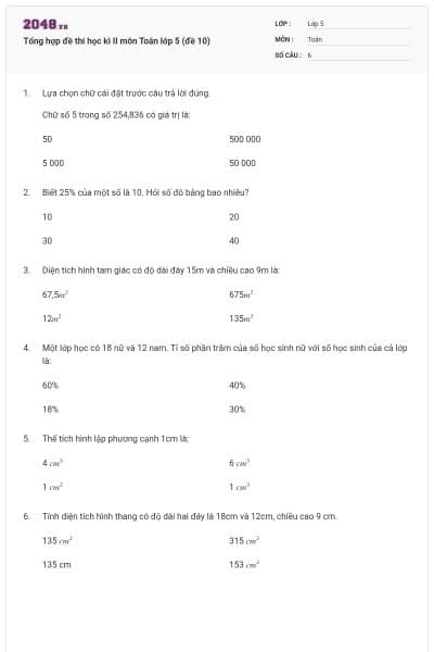 Tổng hợp đề thi học kì II môn Toán lớp 5 (đề 10)