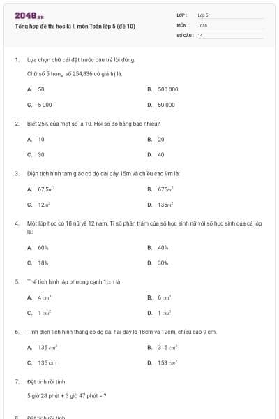 Tổng hợp đề thi học kì II môn Toán lớp 5 (đề 10)