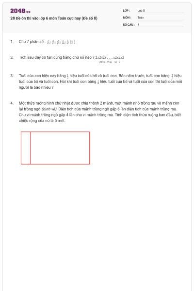 28 Đề ôn thi vào lớp 6 môn Toán cực hay (Đề số 8)