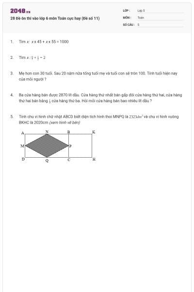 28 Đề ôn thi vào lớp 6 môn Toán cực hay (Đề số 11)