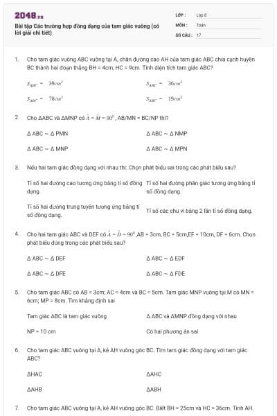 Bài tập Các trường hợp đồng dạng của tam giác vuông (có lời giải chi tiết)