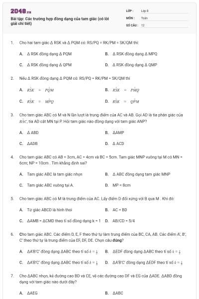 Bài tập: Các trường hợp đồng dạng của tam giác (có lời giải chi tiết)