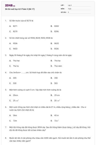 Đề thi cuối học kì II Toán 3 (Đề 17)