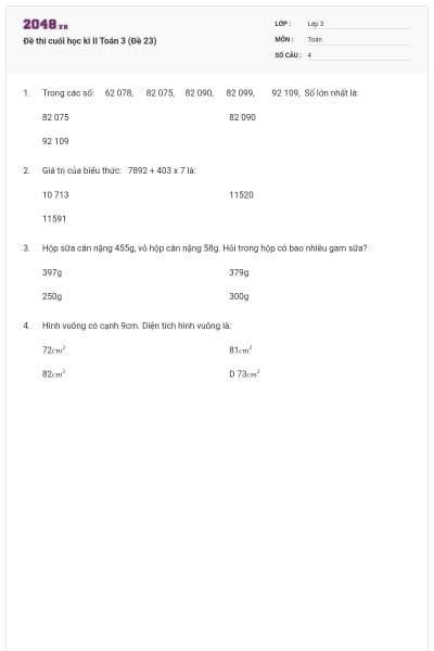 Đề thi cuối học kì II Toán 3 (Đề 23)