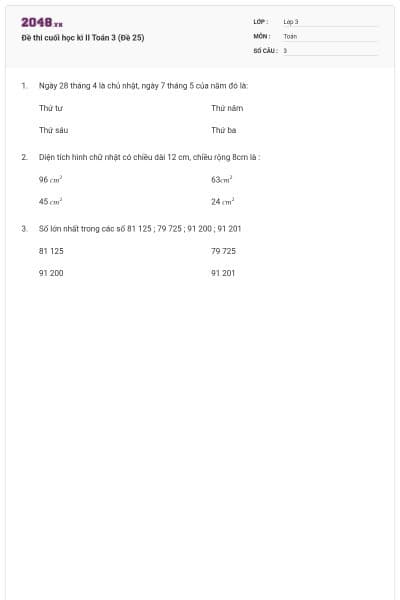 Đề thi cuối học kì II Toán 3 (Đề 25)