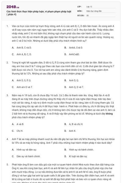 Các hình thức thực hiện pháp luận, vi phạm phạm pháp luật ( phần 4)