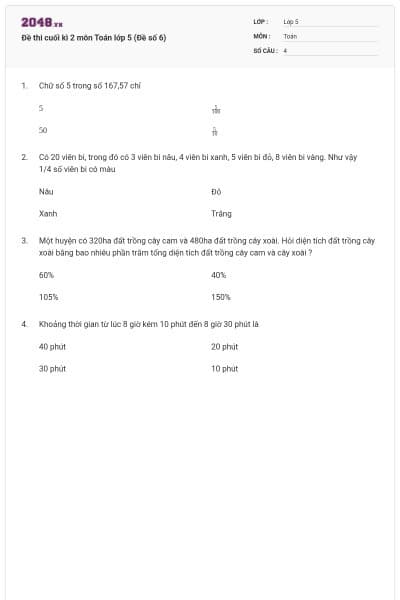 Đề thi cuối kì 2 môn Toán lớp 5 (Đề số 6)