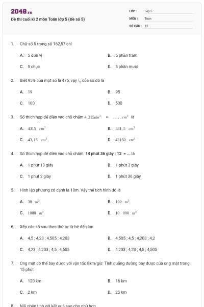 Đề thi cuối kì 2 môn Toán lớp 5 (Đề số 5)