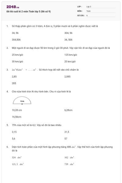 Đề thi cuối kì 2 môn Toán lớp 5 (Đề số 9)