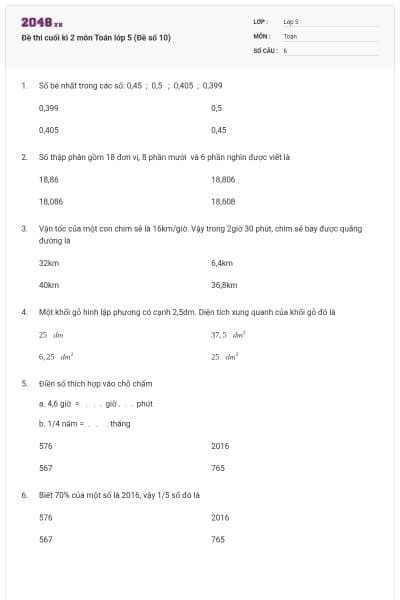 Đề thi cuối kì 2 môn Toán lớp 5 (Đề số 10)