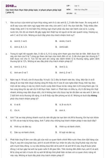 Các hình thức thực hiện pháp luận, vi phạm phạm pháp luật ( phần 4)