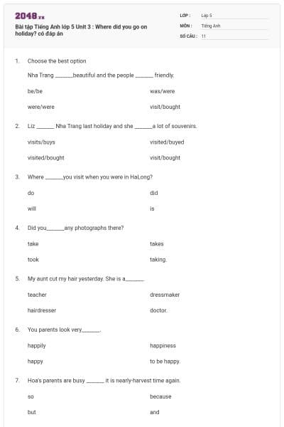 Bài tập Tiếng Anh lớp 5 Unit 3 : Where did you go on holiday? có đáp án