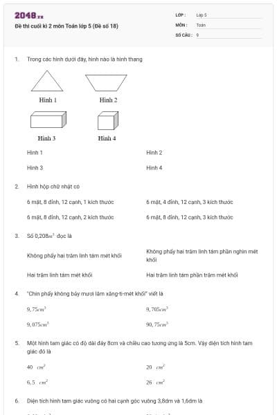 Đề thi cuối kì 2 môn Toán lớp 5 (Đề số 18)