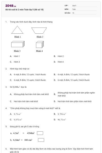 Đề thi cuối kì 2 môn Toán lớp 5 (Đề số 18)