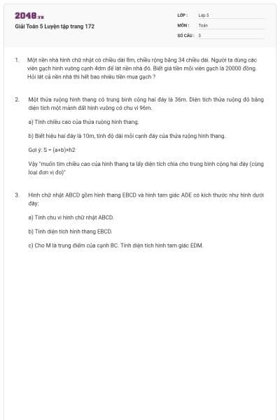 Giải Toán 5 Luyện tập trang 172