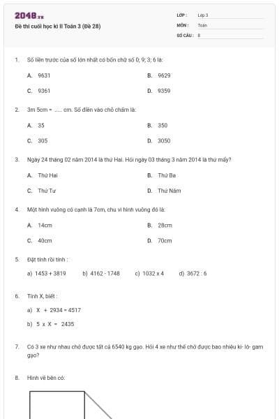 Đề thi cuối học kì II Toán 3 (Đề 28)