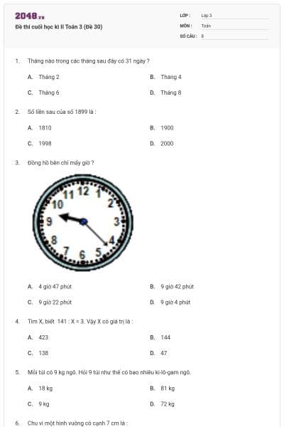 Đề thi cuối học kì II Toán 3 (Đề 30)