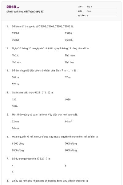 Đề thi cuối học kì II Toán 3 (Đề 43)