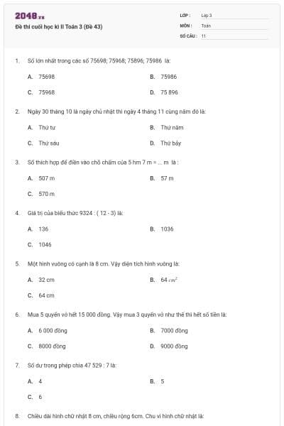 Đề thi cuối học kì II Toán 3 (Đề 43)